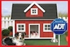 http://theartoflivingbetter.com/business/161:why-you-need-a-home-security-system.html